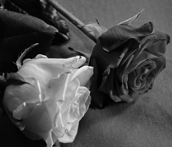 Embora a associação entre isotretinoína, depressão e suicídio seja controversa, é importante ficar atento a sintomas depressivos durante o tratamento da acne com isotretinoína