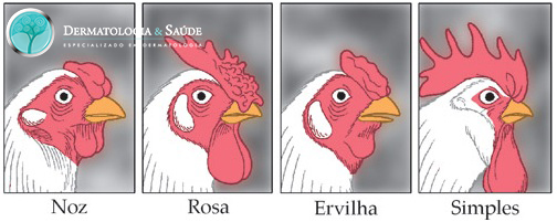 Imagem: www.alancalvet.blogspot.com.br