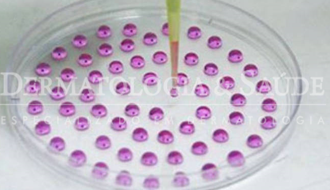 Celulas tronco laboratorio calvicie