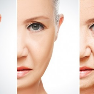 Envelhecimento da pele